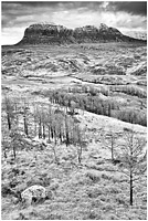 bw315
